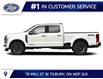 2026 Ford F-250 Platinum (Stk: LFFF02034) in Tilbury - Image 3 of 13