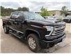 2024 Chevrolet Silverado 2500HD High Country in Paisley - Image 3 of 13