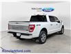 2021 Ford F-150 Platinum (Stk: 17176-1) in Wyoming - Image 7 of 15