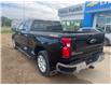 2023 Chevrolet Silverado 1500 LTZ (Stk: 25T172A) in Wadena - Image 8 of 16