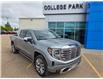 2026 GMC Sierra 1500 Denali (Stk: 10354) in Vermilion - Image 1 of 25