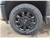 2026 GMC Sierra 3500HD AT4 (Stk: 10438) in Vermilion - Image 24 of 26