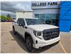 2026 GMC Sierra 1500 AT4 (Stk: 10440) in Vermilion - Image 1 of 26