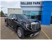 2026 GMC Sierra 1500 Denali (Stk: 10458) in Vermilion - Image 1 of 26
