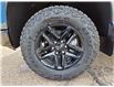 2026 Chevrolet Silverado 1500 LT Trail Boss (Stk: 10524) in Vermilion - Image 23 of 25