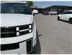 2024 Hyundai Santa Fe  (Stk: 260744) in Kingston - Image 14 of 34