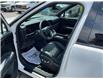 2024 Hyundai Santa Fe  (Stk: 260744) in Kingston - Image 19 of 34