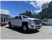 2019 GMC Sierra 3500HD SLT (Stk: 5T360B) in Hope - Image 7 of 13