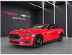 2025 Ford Mustang EcoBoost (Stk: W6133) in Gatineau - Image 1 of 15