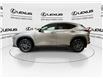 2025 Lexus NX 350  (Stk: 14112648A) in Markham - Image 5 of 27