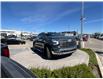 2025 Chevrolet Silverado 1500 LTZ (Stk: SZ194509) in Calgary - Image 7 of 24
