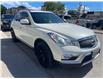 2017 Infiniti QX50 Base (Stk: I401587) in Scarborough - Image 3 of 25