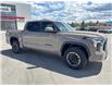 2026 Toyota Tundra SR (Stk: X418883) in Cranbrook - Image 7 of 19