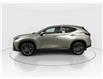 2026 Lexus NX 350  (Stk: 14112902) in Markham - Image 4 of 8
