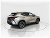 2026 Lexus NX 350  (Stk: 14112902) in Markham - Image 7 of 8