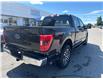 2023 Ford F-150 XLT (Stk: P2292) in Newmarket - Image 14 of 39