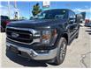 2023 Ford F-150 XLT (Stk: P2292) in Newmarket - Image 6 of 39