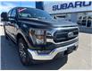 2023 Ford F-150 XLT (Stk: P2292) in Newmarket - Image 4 of 39