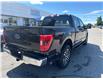 2023 Ford F-150 XLT (Stk: P2292) in Newmarket - Image 15 of 39