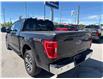 2023 Ford F-150 XLT (Stk: P2292) in Newmarket - Image 13 of 39