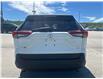 2020 Toyota RAV4 LE (Stk: 47884) in Owen Sound - Image 4 of 11