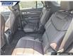 2026 Ford Explorer Platinum (Stk: 28874) in Dartmouth - Image 22 of 24
