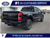 2026 Ford F-250 Platinum (Stk: LFFF02018) in Tilbury - Image 3 of 15