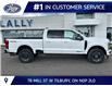 2026 Ford F-250 Platinum (Stk: LFFF02046) in Tilbury - Image 2 of 15