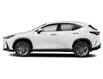 2026 Lexus NX 350  (Stk: 14112903) in Markham - Image 2 of 12
