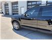 2023 Ford Bronco Sport Base (Stk: T4185) in Richmond - Image 9 of 19