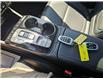 2024 Hyundai Tucson Plug-In Hybrid Ultimate (Stk: T4419) in Richmond - Image 14 of 23