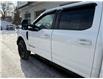 2020 Ford F-250  (Stk: T3772) in Richmond - Image 9 of 17