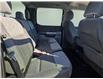 2021 Ford F-150  (Stk: T4356) in Richmond - Image 17 of 19