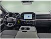 2025 Ford F-150 XLT (Stk: Ke7197) in Richmond - Image 7 of 7