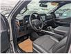2023 Ford F-150 Tremor (Stk: T-1784A) in Calgary - Image 2 of 26