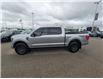 2023 Ford F-150 Tremor (Stk: T-1784A) in Calgary - Image 4 of 26