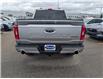 2023 Ford F-150 Tremor (Stk: T-1784A) in Calgary - Image 6 of 26