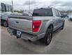 2023 Ford F-150 Tremor (Stk: T-1784A) in Calgary - Image 7 of 26