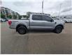 2023 Ford F-150 Tremor (Stk: T-1784A) in Calgary - Image 8 of 26