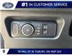 2026 Ford Ranger XLT (Stk: LFRA02038) in Tilbury - Image 8 of 15