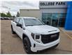 2026 GMC Sierra 1500 Elevation (Stk: 10530) in Vermilion - Image 1 of 26