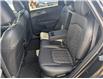 2024 Kia Sportage X-Line (Stk: T-1956A) in Calgary - Image 19 of 25