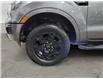 2023 Ford Ranger XLT (Stk: 17174-1) in Wyoming - Image 9 of 15