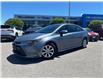 2024 Toyota Corolla LE (Stk: U9215A) in Uxbridge - Image 1 of 30