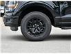 2026 Ford F-150 XLT (Stk: F62412) in GEORGETOWN - Image 6 of 26