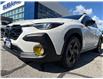 2024 Subaru Crosstrek Onyx (Stk: LP1370) in RICHMOND HILL - Image 10 of 29