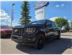 2024 Ford F-150 STX (Stk: TA-788B) in Calgary - Image 1 of 15