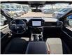 2024 Ford F-150 STX (Stk: TA-788B) in Calgary - Image 2 of 15