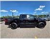 2024 Ford F-150 STX (Stk: TA-788B) in Calgary - Image 4 of 15