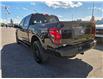 2024 Ford F-150 STX (Stk: TA-788B) in Calgary - Image 5 of 15